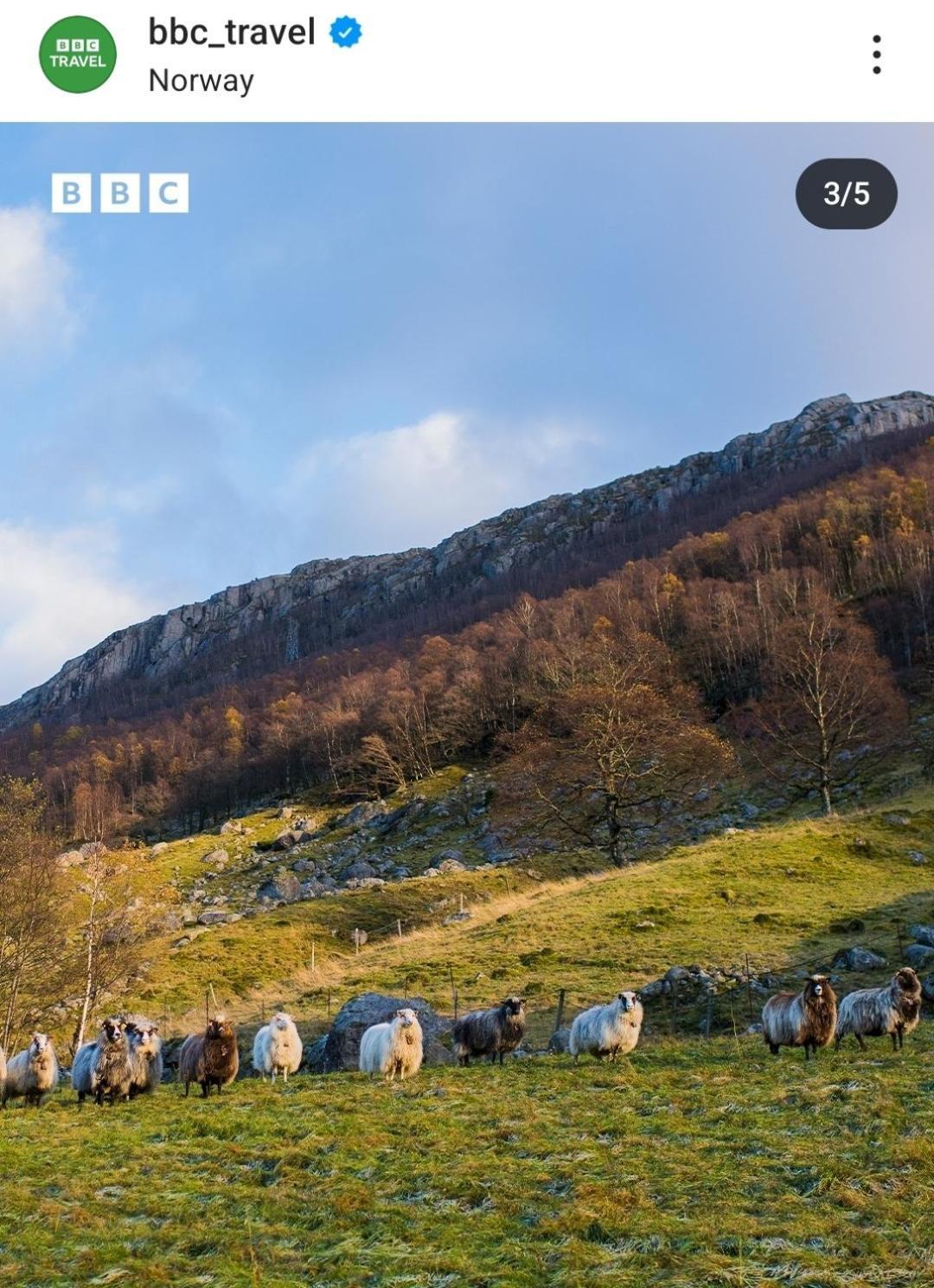 Hytte Ved Preikestolen Forsand エクステリア 写真