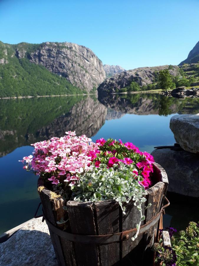 Hytte Ved Preikestolen Forsand エクステリア 写真